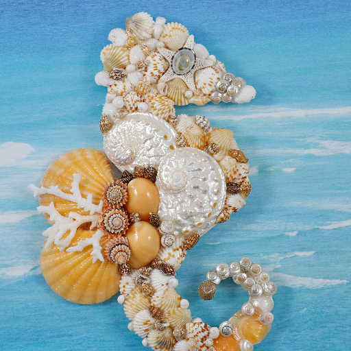 Seashell creations from the beautiful Florida beaches