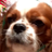 realrealitysis's avatar
