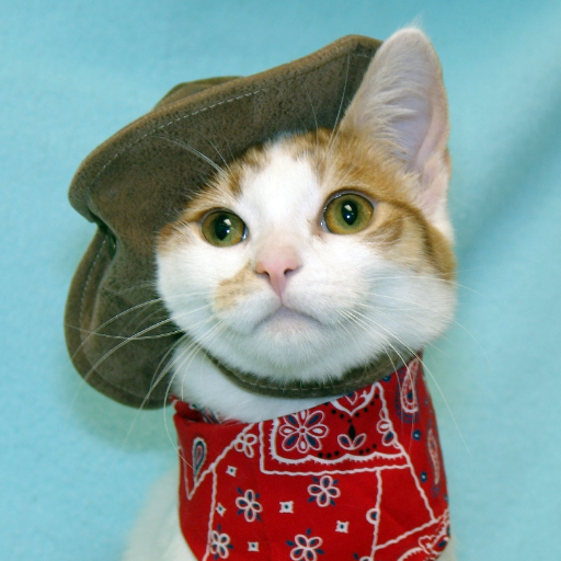 holotaped's profile picture. r/relationships: help