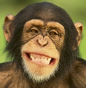 BIMANKI,
BE always ON the TREE
http://t.co/czUQJw06mJ