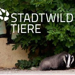 Informations- und Meldeplattform für Wildtiere in der Stadt.