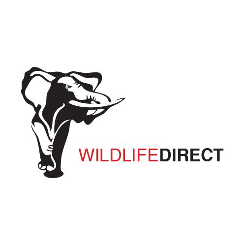 wildlifedirect Profile Picture