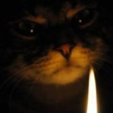 FelisDomesticusさんのプロフィール画像