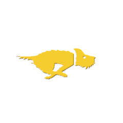 Yellow Dog Software (Pty) Ltd provides end to end consulting and services in a heterogeneous information technology environment.