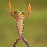 #AdventureHungary (@dare2balive) 's Twitter Profile