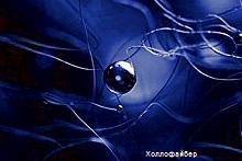 hollowfiber's profile picture. холлофайбер, нетканые материалы, в которых живут люди, термопол