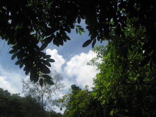 widewonderer's profile picture. 