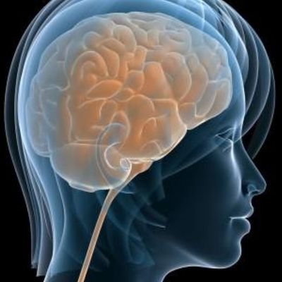 Gravilan1's profile picture. Una #UCM de todos y para todos. No permitamos que vuelvan los sectarios.