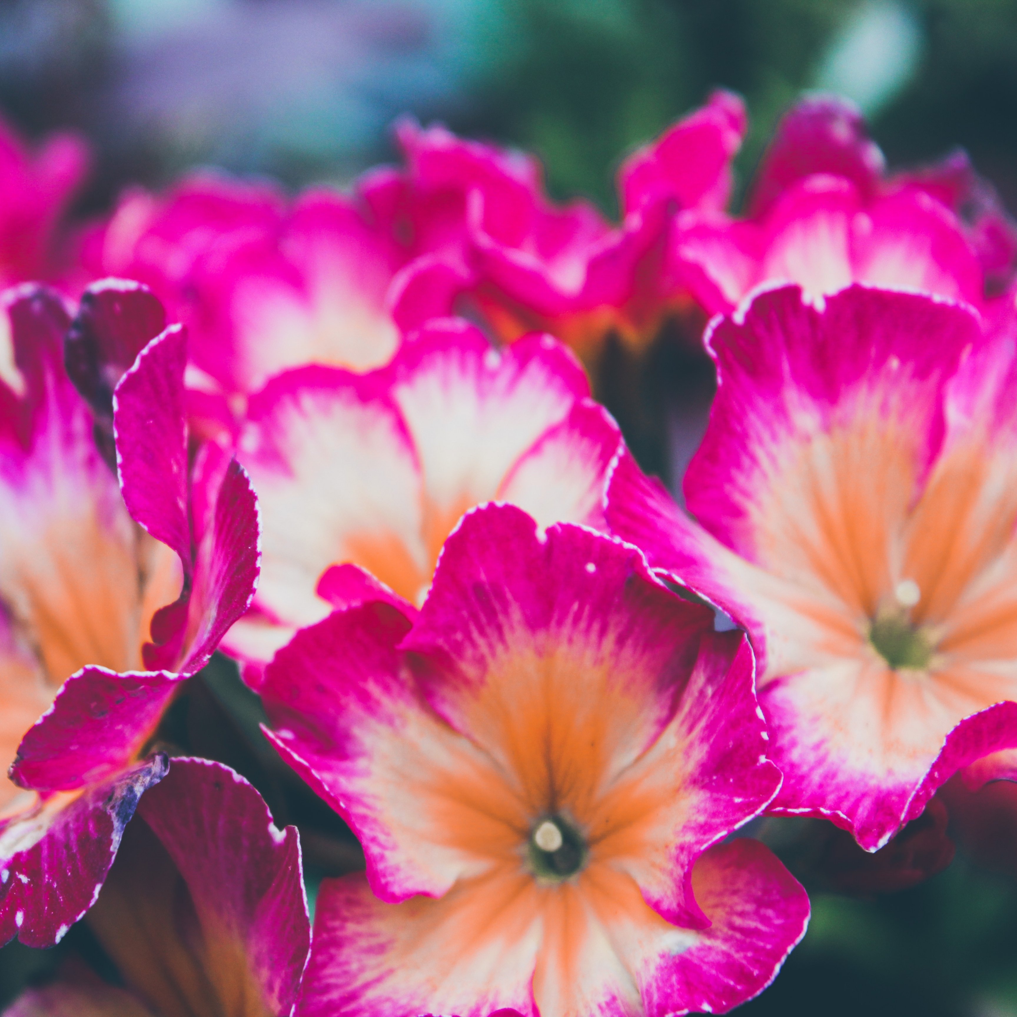 Mon86352789's profile picture. Evil thrives when good people stand idly by!