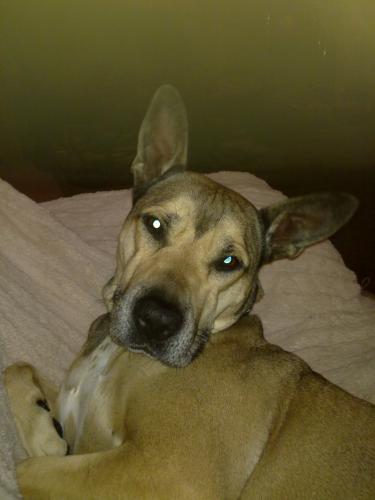 annebrt's profile picture. 