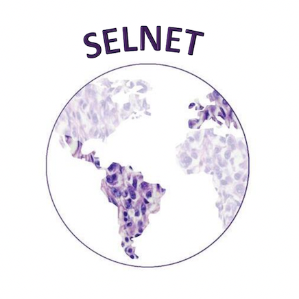 SELNET aims to improve the diagnosis and clinical care of sarcomas through a European and Latin American network.
SELNET has received funds from the EU H2020