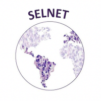 Sarcoma European LatinAmerican Network (SELNET) (@selneth2020) 's Twitter Profile