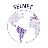 Sarcoma European LatinAmerican Network (SELNET)(@SelnetH2020) 's Twitter Profile Photo