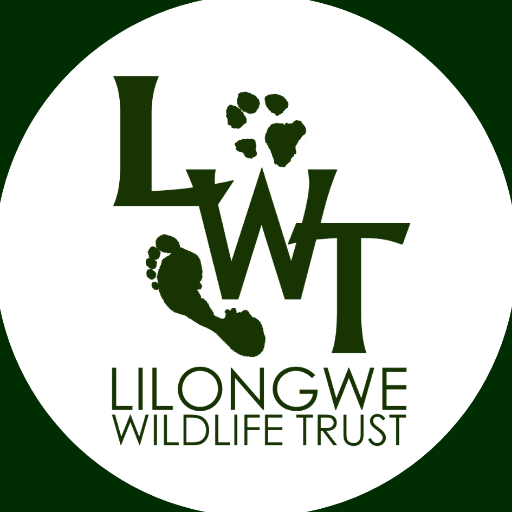 malawiwildlife Profile Picture