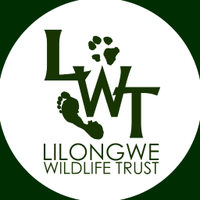 Lilongwe Wildlife Trust(@malawiwildlife) 's Twitter Profile Photo