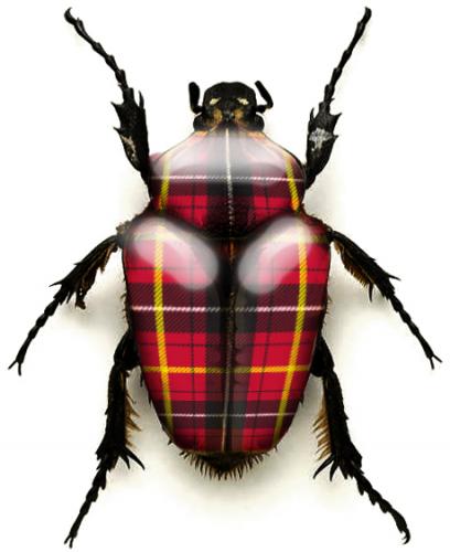 RXC_dawn's profile picture. FXR MX Race Support Crew / FXR MX Web Media Editor at https://t.co/Dpc2aRZ6WD