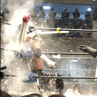 とにかくプロレスが大好きです。プロレスは人生だと思います。今は竹田誠志選手が一番好きです。プロレスファン歴２年くらいで、まだ初心です。新日本プロレス、大日本プロレス、フリーダムズ。死ぬまでには1000回以上生で見たい。全日本プロレスも。