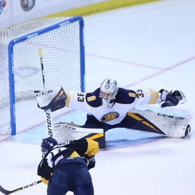 Norfolk Admirals #33