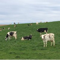 KirktonBovineService (@kirktonbovine) 's Twitter Profile Photo KirktonBovineService (@kirktonbovine) 's Twitter Profile Photo