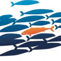 Atypical Interaction Conference 2019 (@2019atypical) 's Twitter Profile Photo