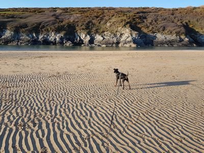 Rock pooler, mum, lobster fan, dog walker,  restaurateur, 2 minute beach clean guardian angel