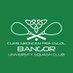 Bangor Squash Club (@bangorsquash) Twitter profile photo Bangor Squash Club (@bangorsquash) Twitter profile photo