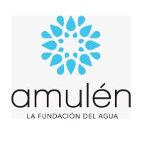 Fundacion Amulen (@amulenfundacion) 's Twitter Profile