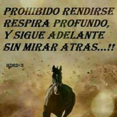 somos pareja muy liberal ella 45 el 45 queremos conocer y compartir travesuras con mas parejas cuenta manejada x ambos nos gustan los trios HMH MHM HHHM queremo
