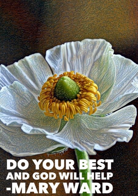 IbvmE's profile picture. We are an international congregation of apostolic religious women, founded by Mary Ward in 1609.