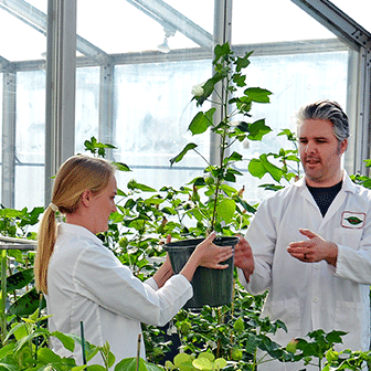 N.C. PSI is the global hub for plant science innovation, solving complex agricultural issues by engaging interdisciplinary research teams and strategic partners