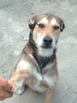 FredyGio1's profile picture. divertido y descomplicado