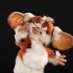 しゃぎぃ@mogwai (@_chiakitty_) Twitter profile photo しゃぎぃ@mogwai (@_chiakitty_) Twitter profile photo