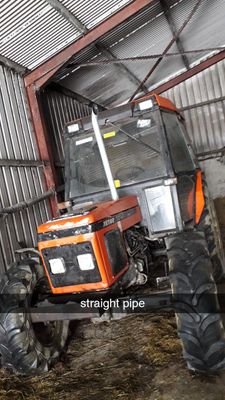 darragh16646104's profile picture. sc=murf.darragh handball football & farming