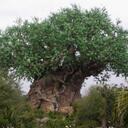 Kate Brady Grimes - @beeotch45 - Twitter