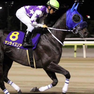 競馬、競艇、競輪のツイートを呟くアカウントです。 競馬、競艇友達欲しいな😛 大好きなYouTuberさん→ https://t.co/Lazl0Hc2u9