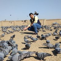 Manish Rai (@manishroymanish) 's Twitter Profile