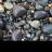 Rocks_and_Rocks's profile image