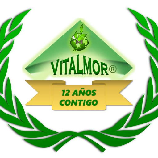 Pioneros (desde 2007) en Cultivos y Elaboraciòn de Productos derivados de la Moringa ECO en Europa!  
 Bilbao (Vìzcaya) ESPAÑA
 Teléfono(+34) 946 547 021