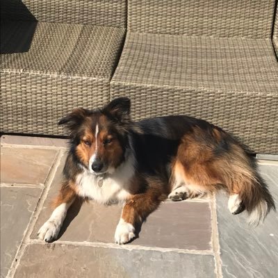 MillyDevitt's profile picture. 