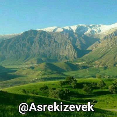 KozokiS's profile picture. 