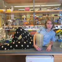 Nora Pyenson (@norapyenson) 's Twitter Profile Photo Nora Pyenson (@norapyenson) 's Twitter Profile Photo