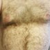 Biguy18201 🔞🐻⬆️ (@biguy18201) Twitter profile photo Biguy18201 🔞🐻⬆️ (@biguy18201) Twitter profile photo