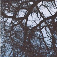 DARKWAVE (@darkwave___) 's Twitter Profile