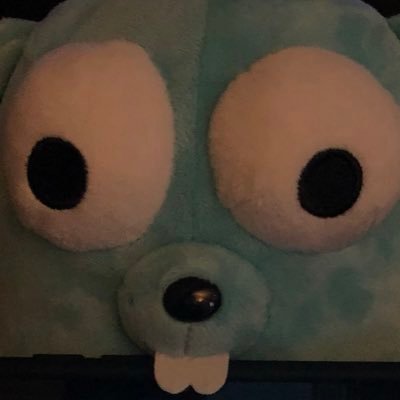 VirgileMathieu's profile picture. Full-Stack dev. #Golang and #Flutter lover