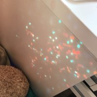 Khloe (@starvingkoko) 's Twitter Profile