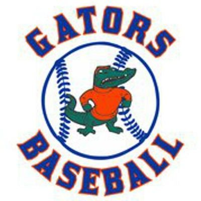 BASEBALL Fan!!! Gators, Lakeland Flying Tigers, Tampa Tarpons, St. Lucie Mets, FSL, MiLB, College and ABL baseball!