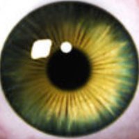 Mongo69 (@echapacaray) 's Twitter Profile Photo