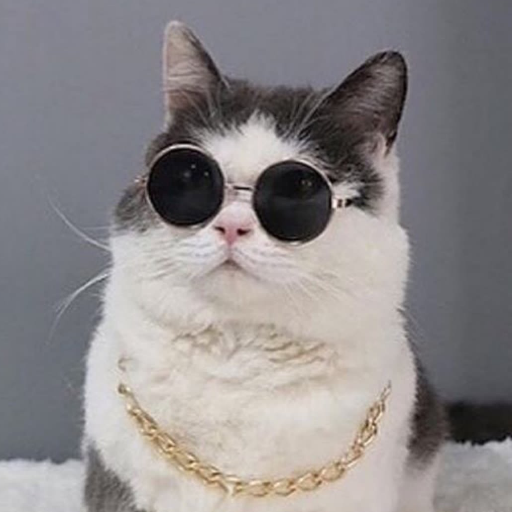 Prohawk17's profile picture. 22 | Business Inquiries: prohawk.ttv@gmail.com