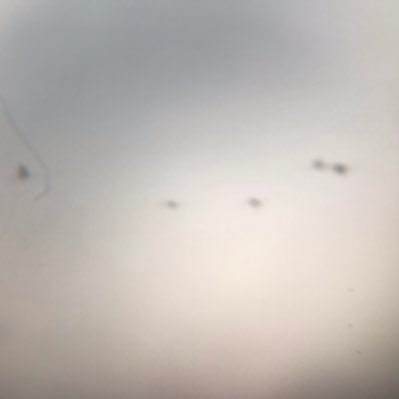 KUNAL_TARTE's profile picture. 