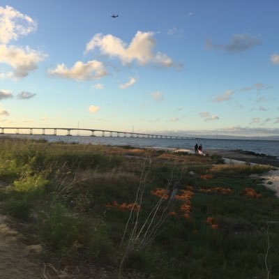 Nature & Arts Lover, Tech Geek & Investor - Life is to explore